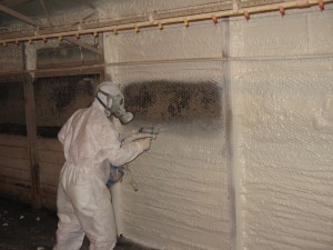 Poultry House Insulation Foam Sealant w/DBK